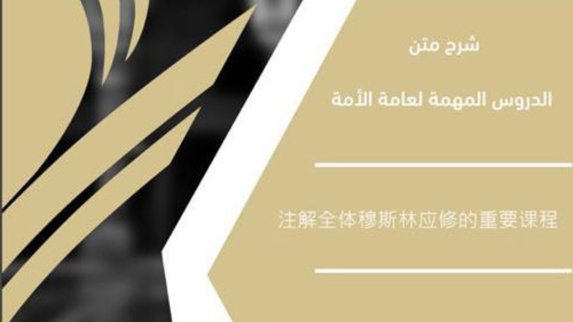 صيني 2 - Copie (2)