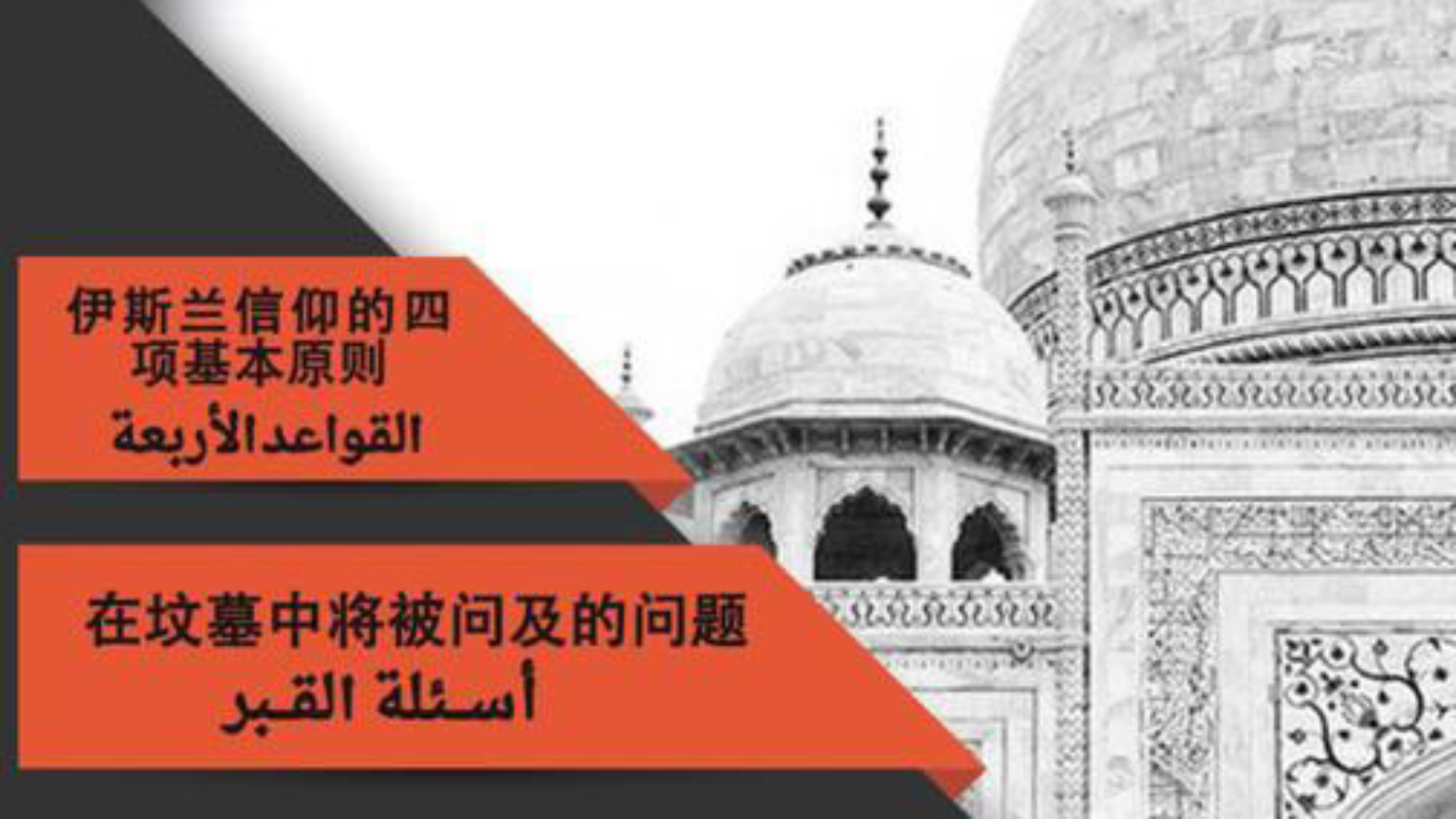 صيني - الاصول