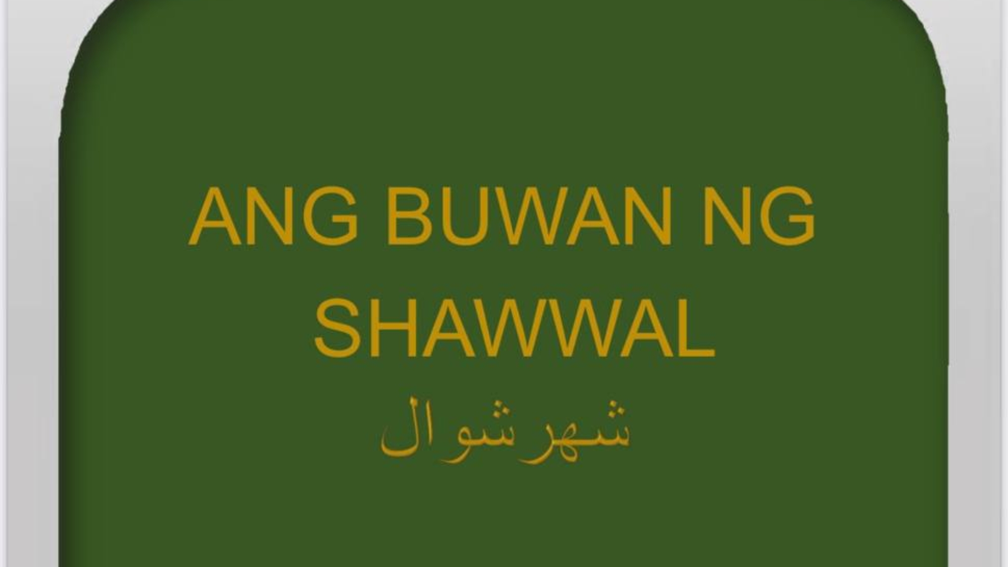 photo_2025-04-17_08-46-28