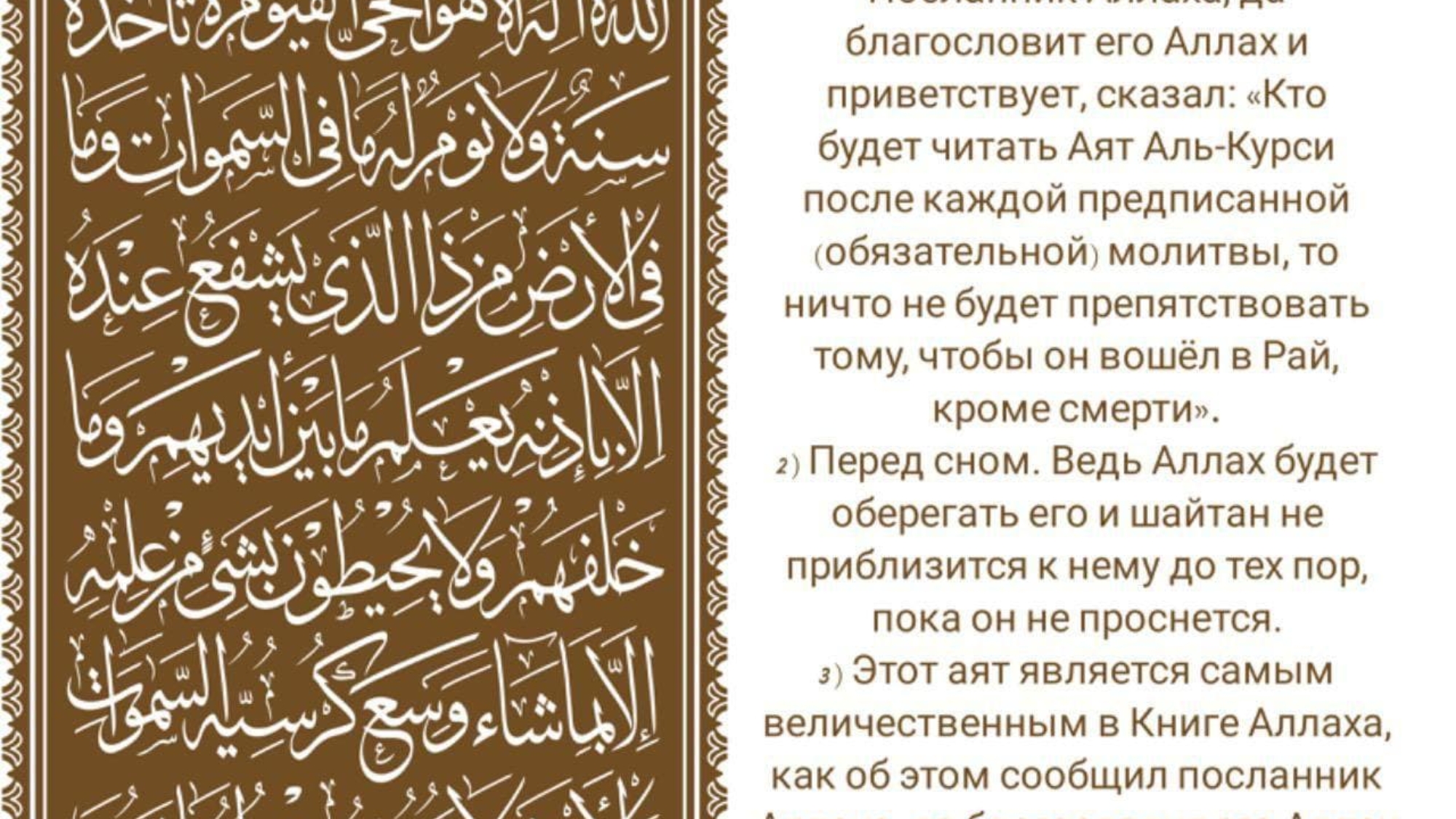 photo_2022-02-09_21-00-08 (1)