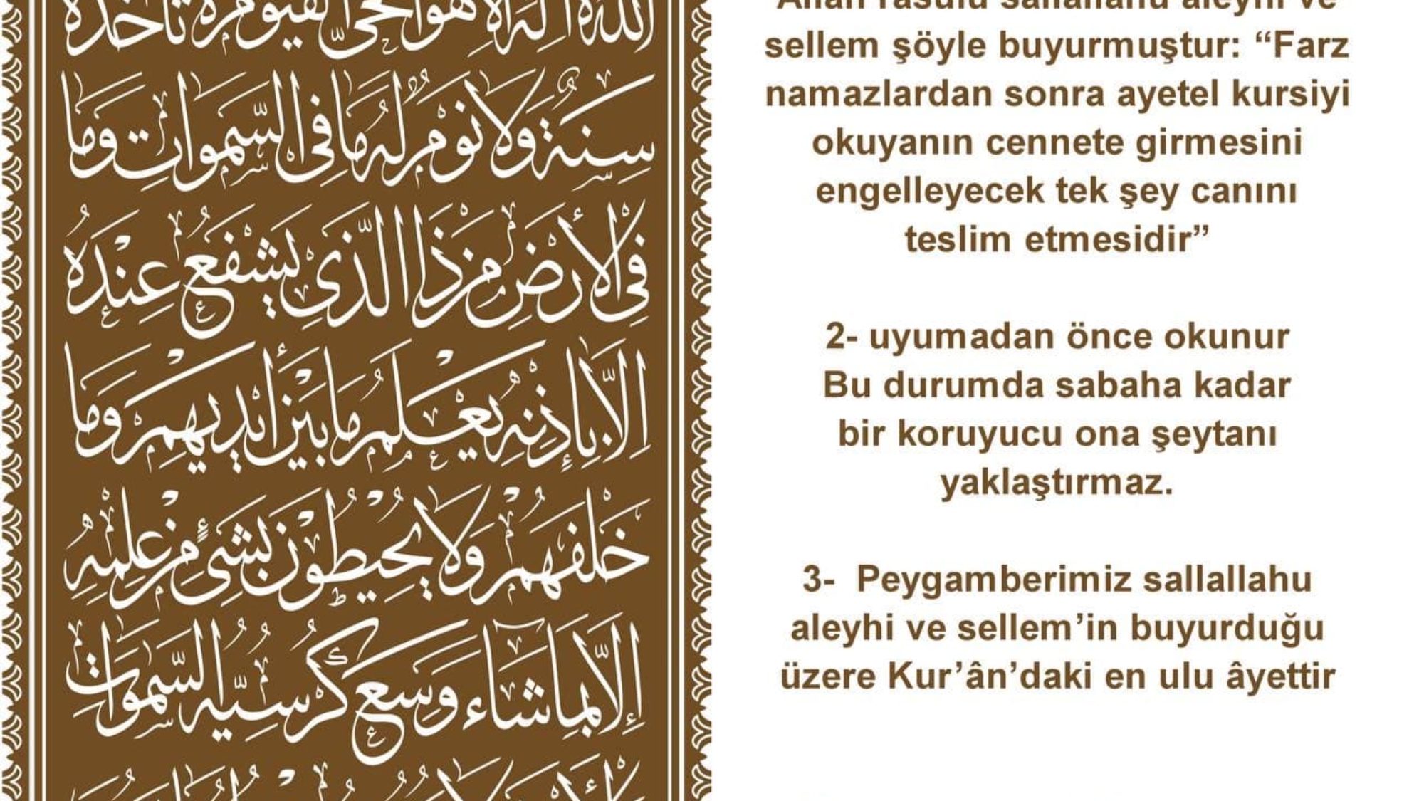 photo_2022-02-09_22-15-21