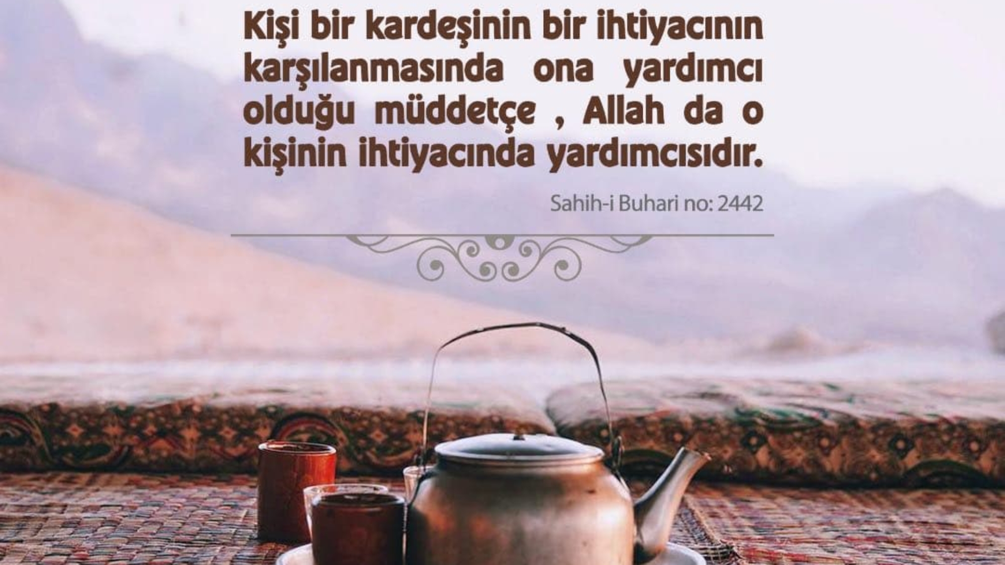 photo_2022-02-09_22-15-37