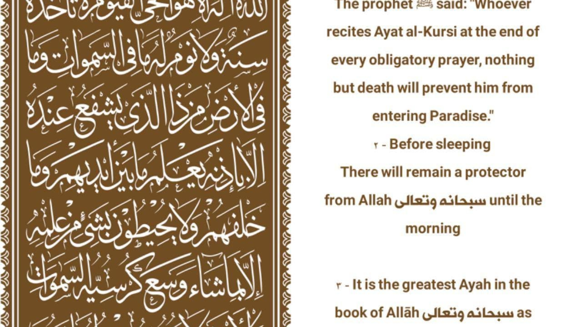 photo_2022-02-09_22-28-33