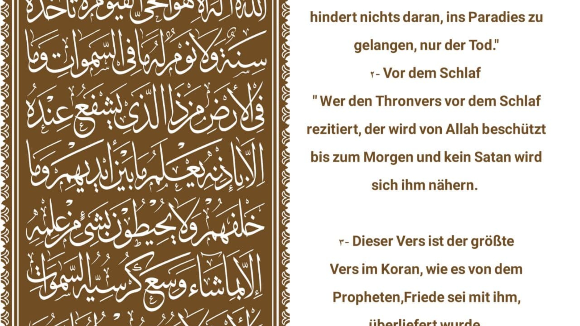 photo_2022-02-10_07-56-24