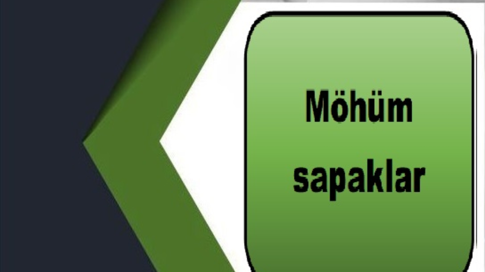 Möhüm sapaklar