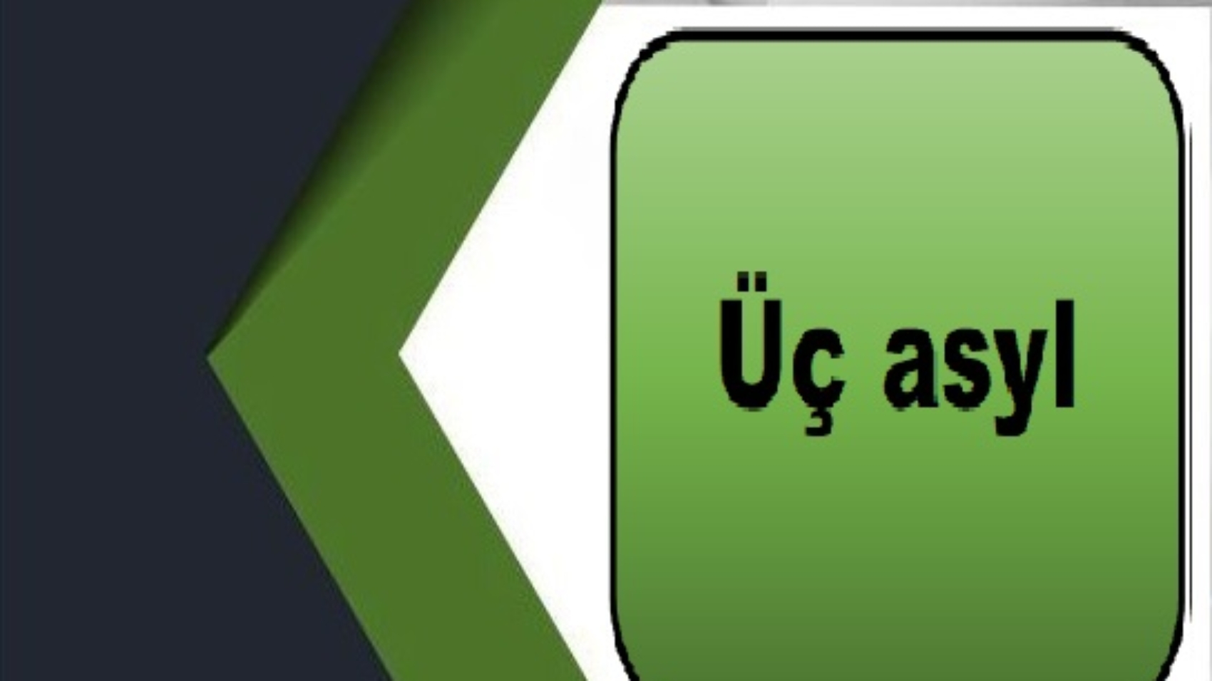 Üç asyl