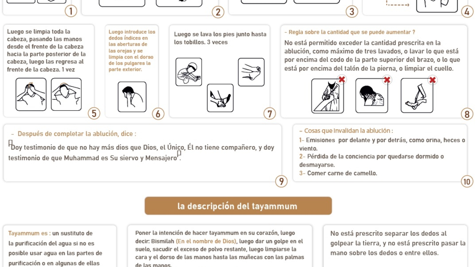صفة الوضوء إسباني