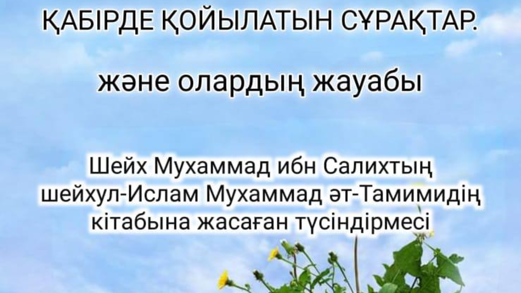 photo_2024-02-28_19-34-19