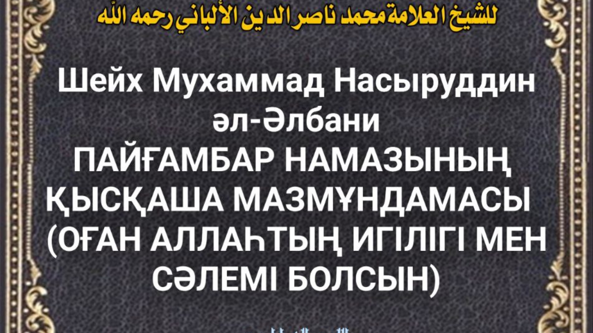 photo_2024-03-01_19-22-50