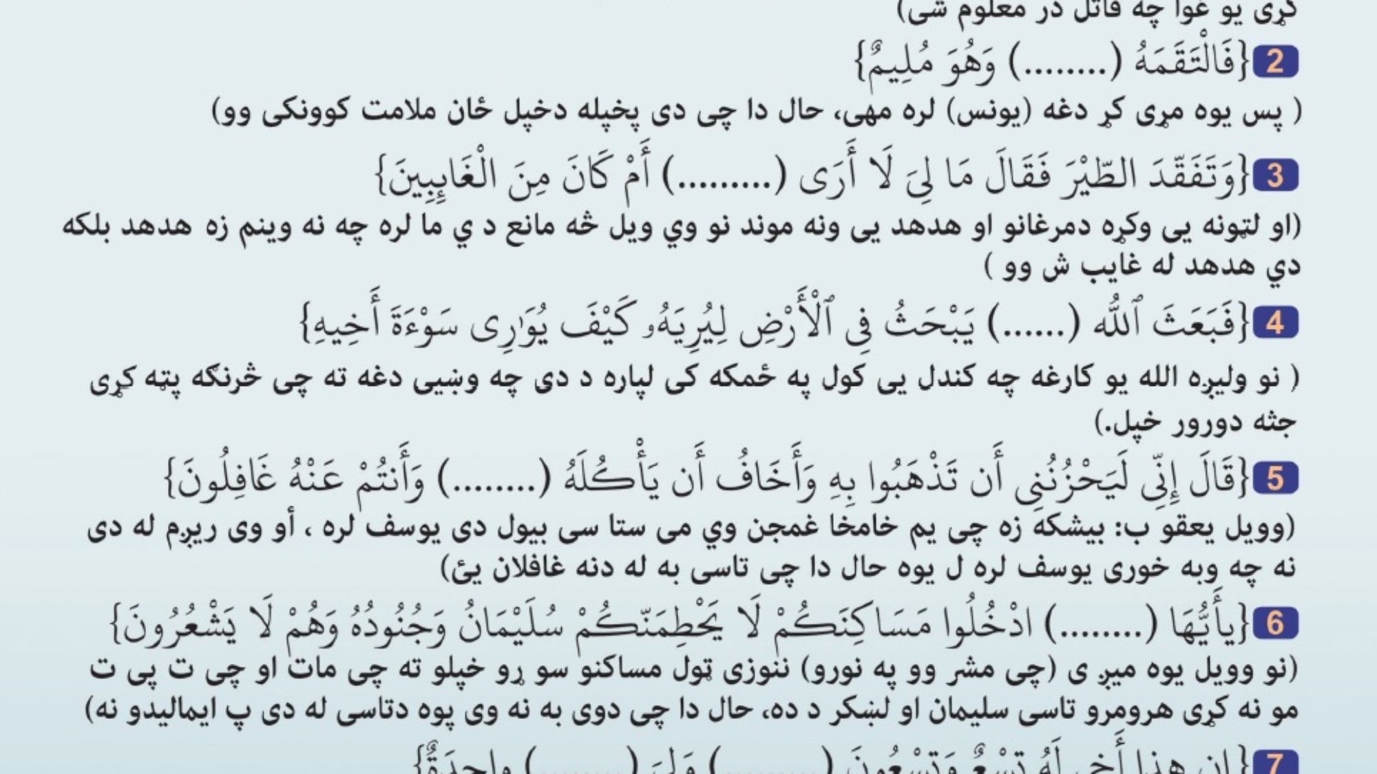 په قران کریم کې د څارویو په اړه د ماشومانو پوښتنې