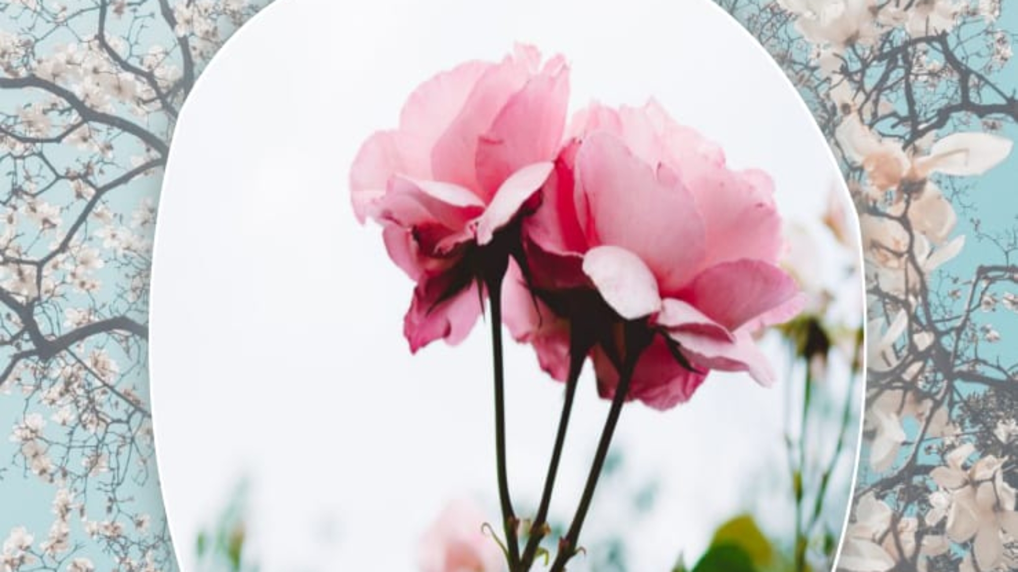 Giá Trị Tháng Rajab Trên Bàn Cân Công Đức