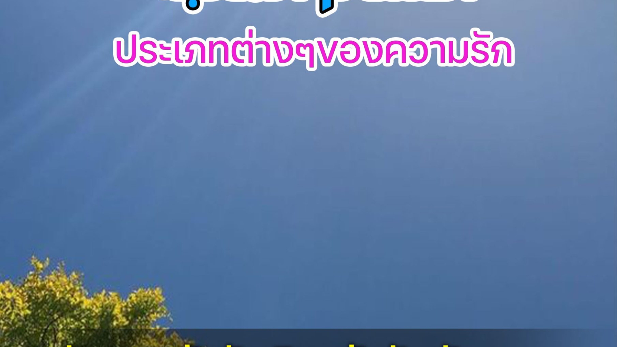 أقسام-المحبة