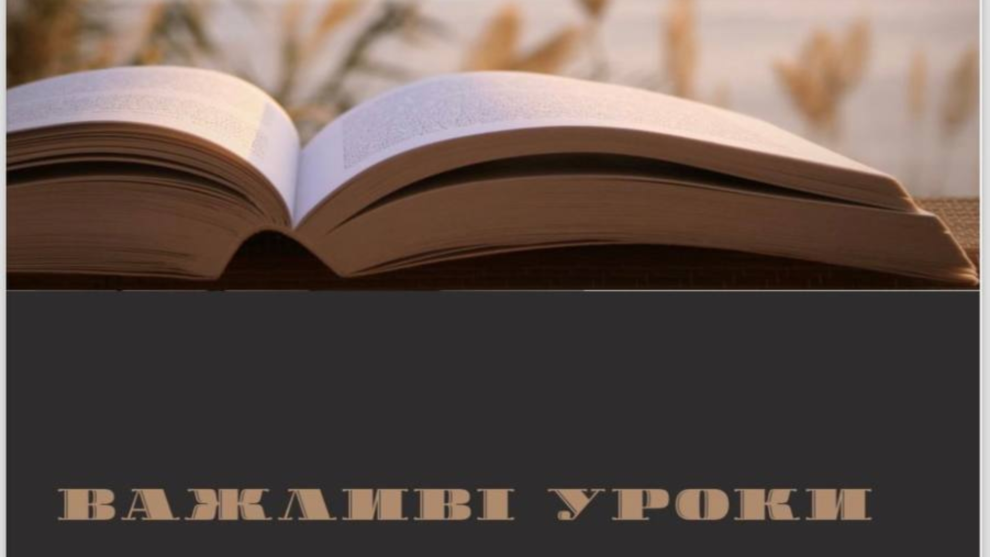 photo_2024-02-18_14-30-18