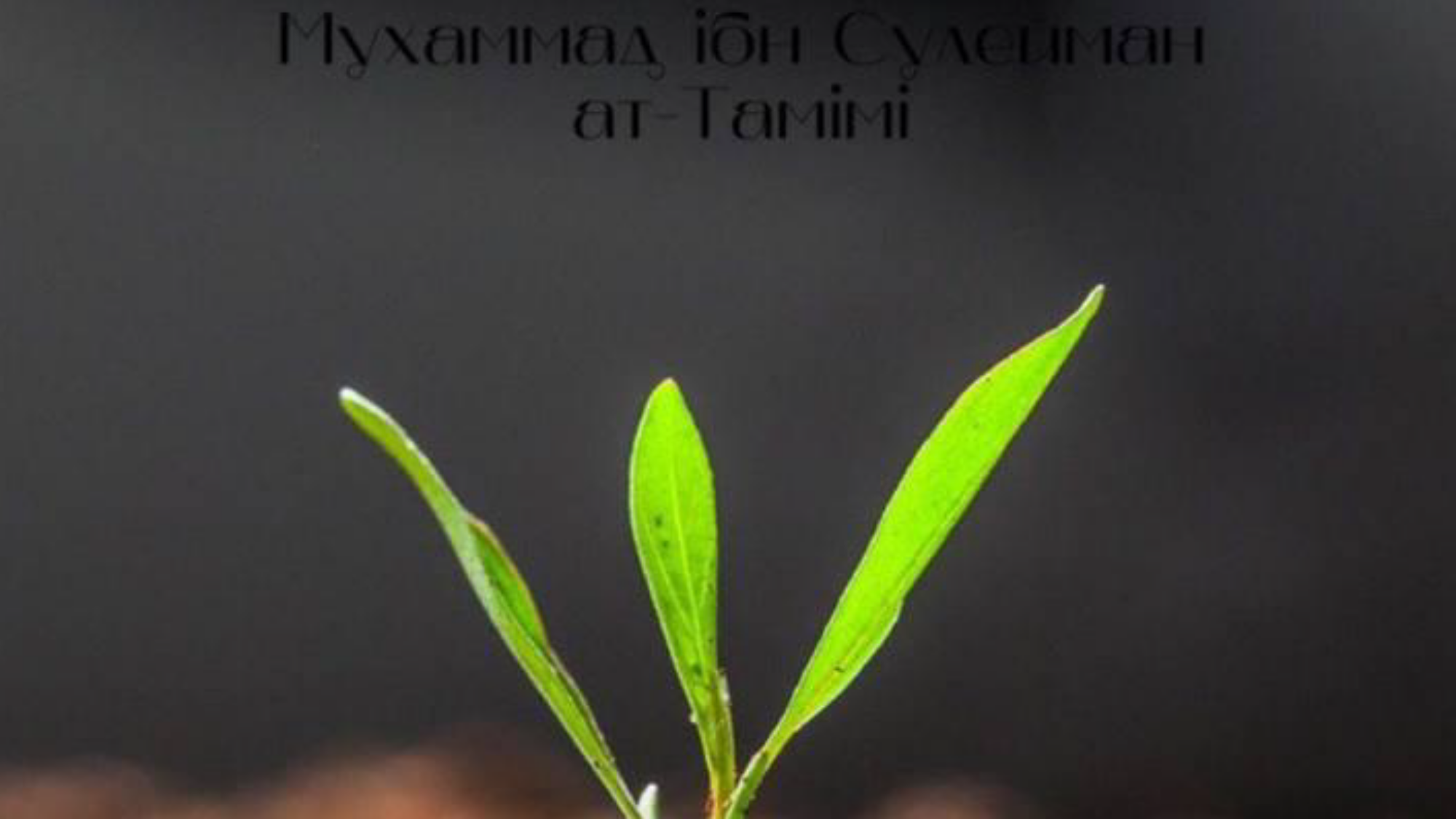 Три Основи (салясату-ль-усуль)