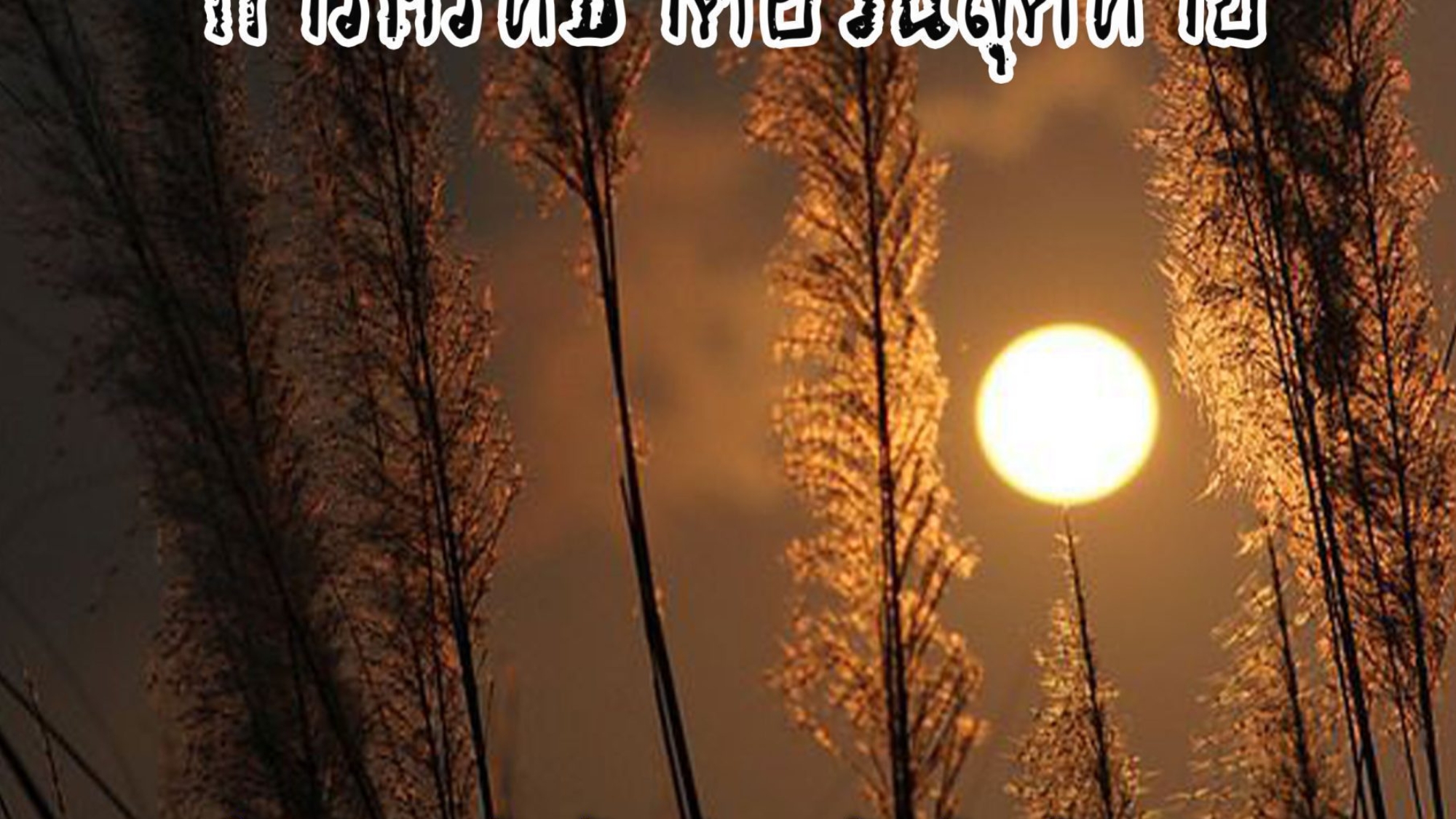 การศรัทธาต่อวันสุดท้าย