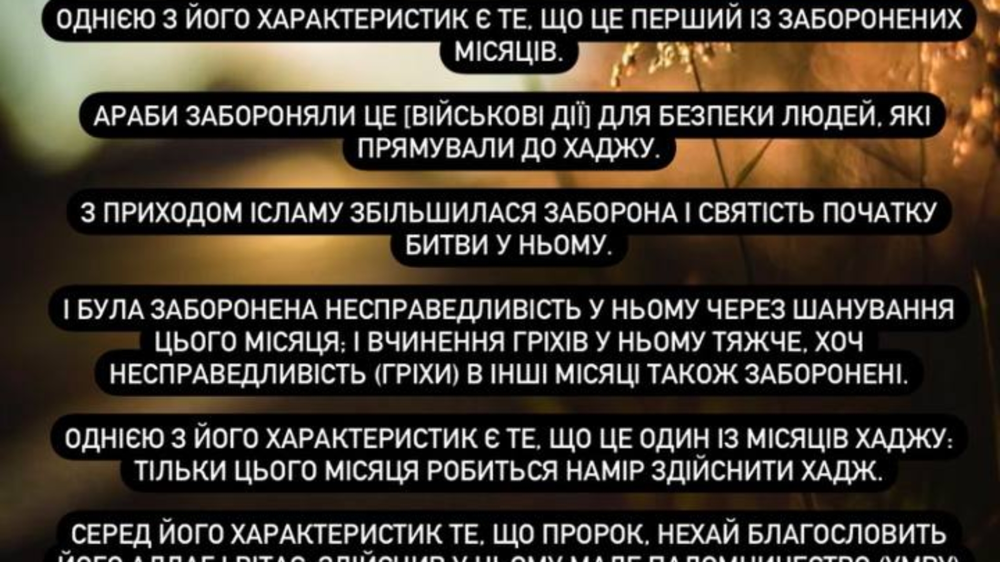 Під керівництвом доктора шаріатських знань Хайсама Сархана(нехай оберігає його Аллаг)