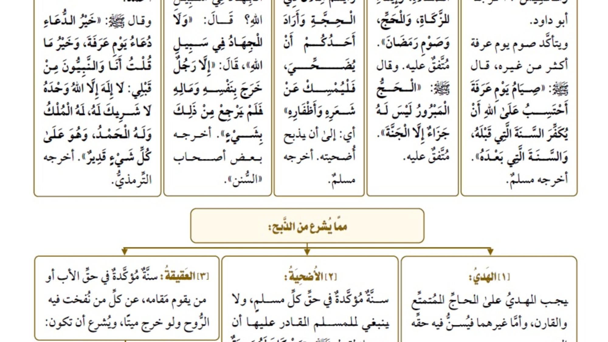 أحكام عشر ذي الحجة