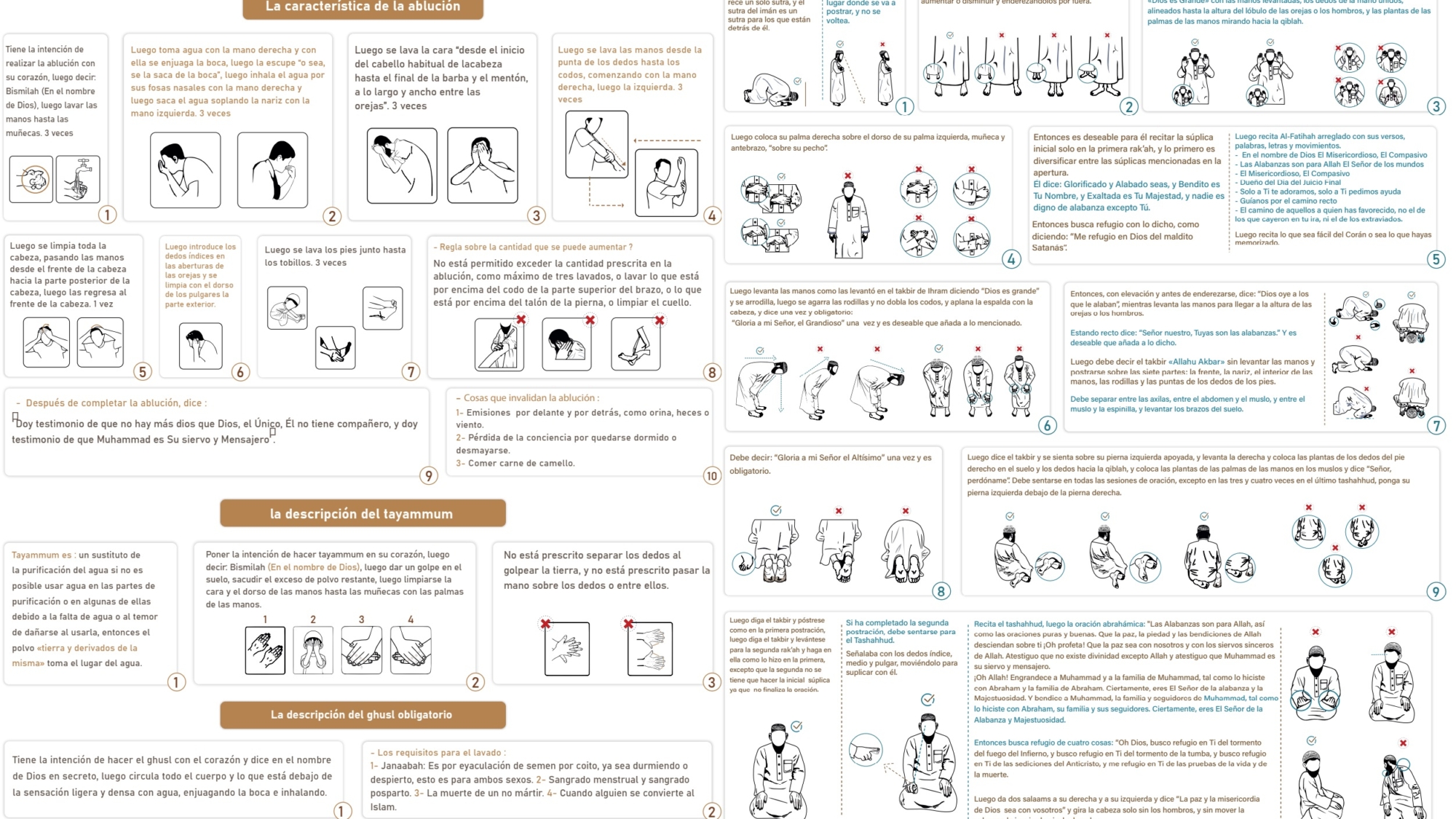 Descripción de la ablución, el tayammum y el ghusl y de la oración del Profeta