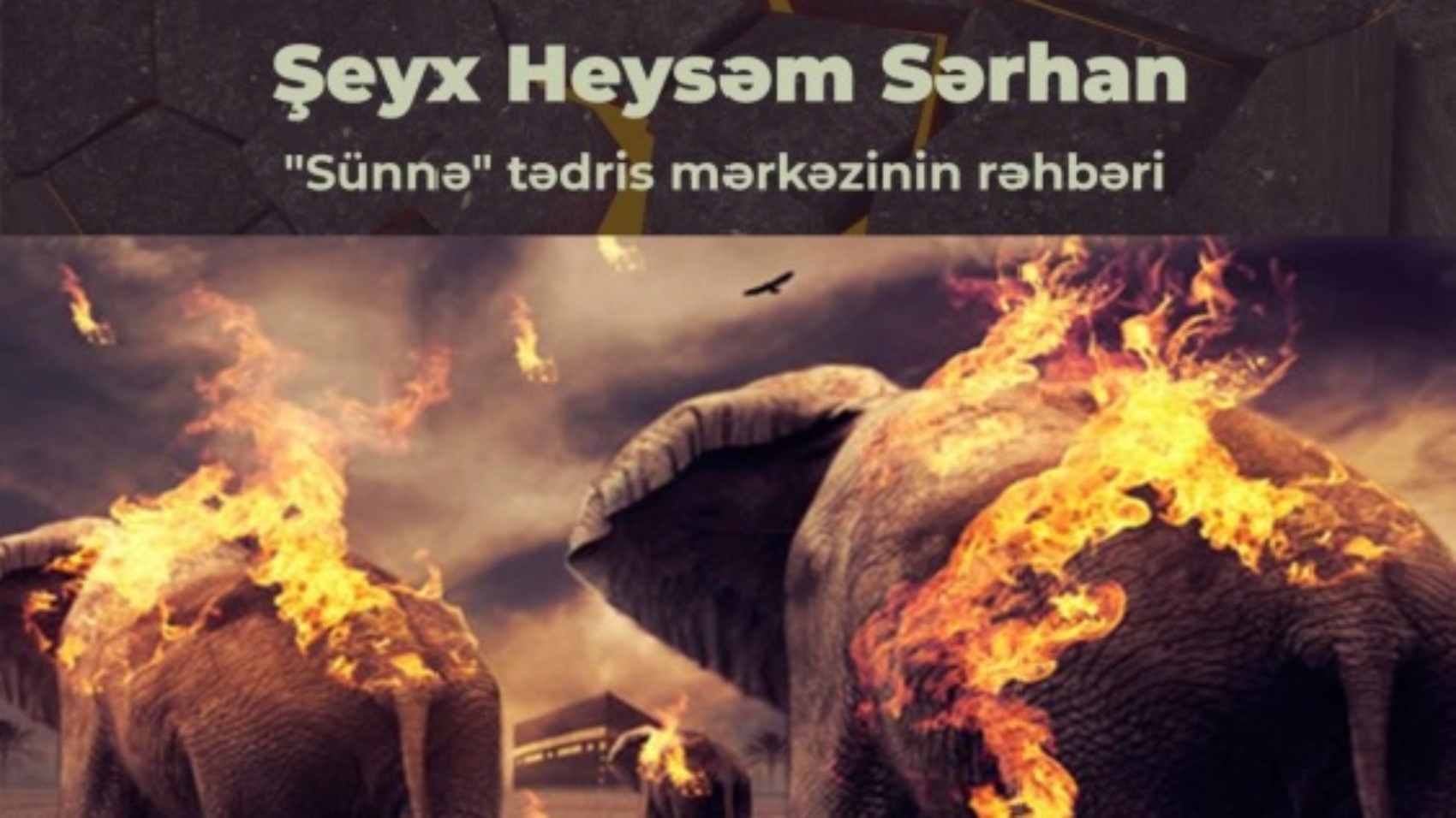 Fil sahibləri