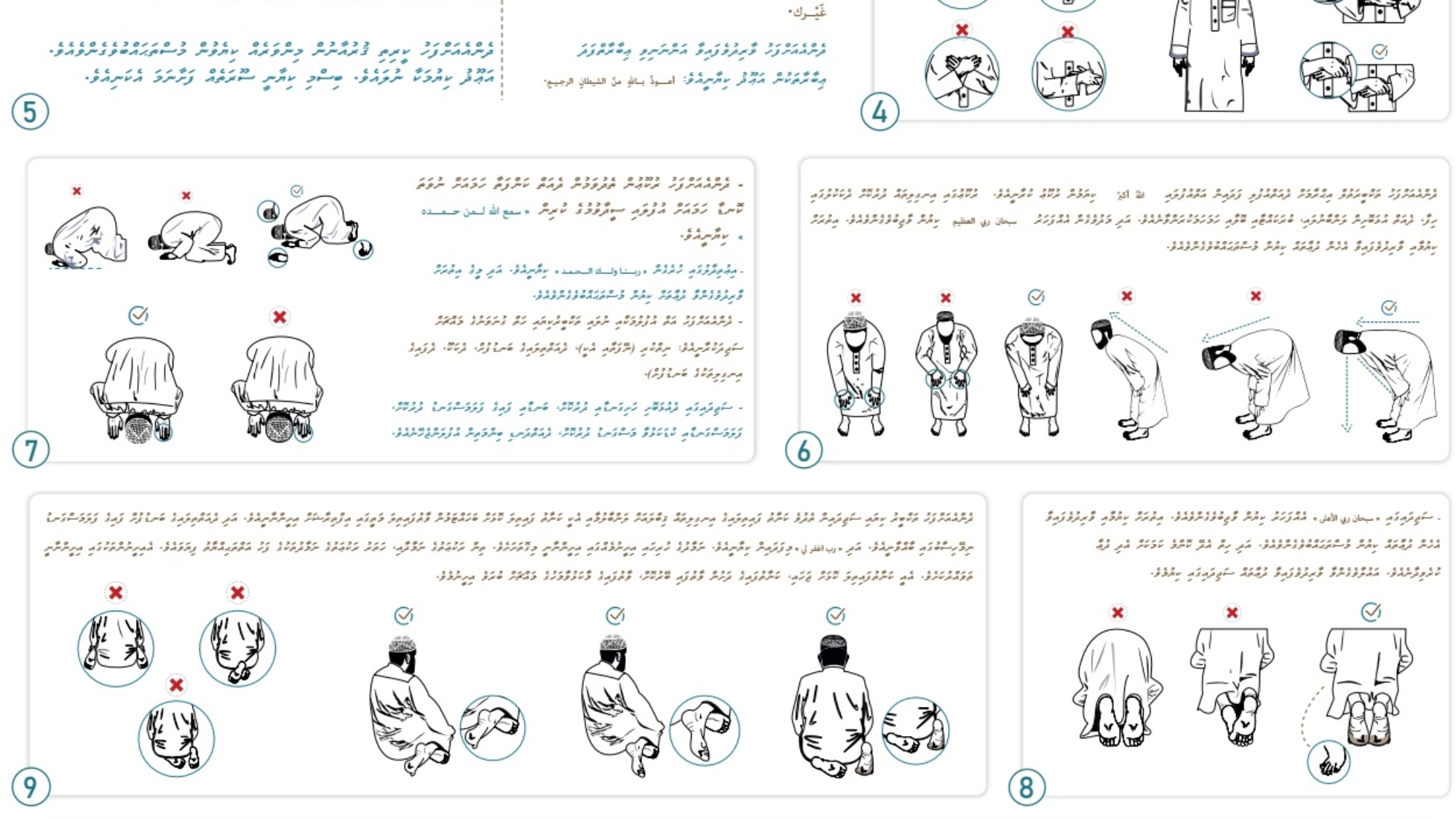 ނބ ފބއޔ ނމދގ ސފަ