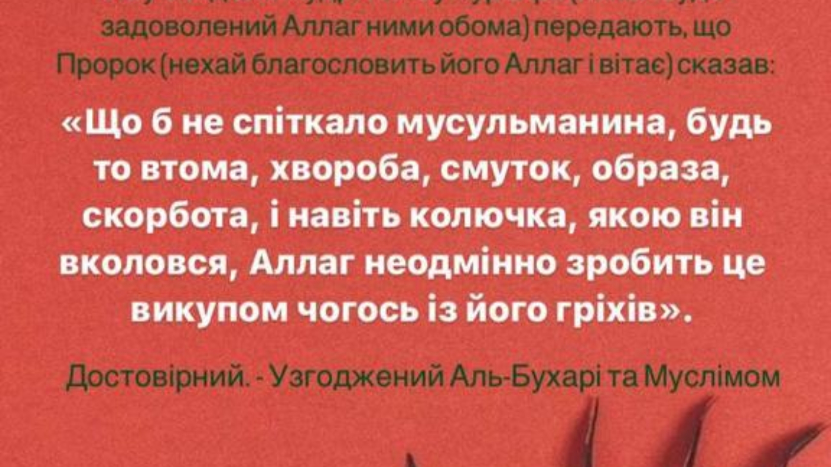 Абу Саїд аль-Худрі та Абу Хурайра (нехай буде задоволений Аллаг ними обома) передають, що Пророк (нехай благословить його Аллаг і вітає) сказав: