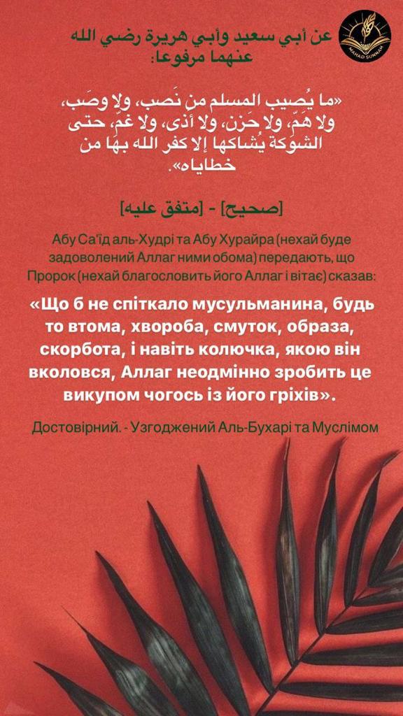 Абу Саїд аль-Худрі та Абу Хурайра (нехай буде задоволений Аллаг ними обома) передають, що Пророк (нехай благословить його Аллаг і вітає) сказав: