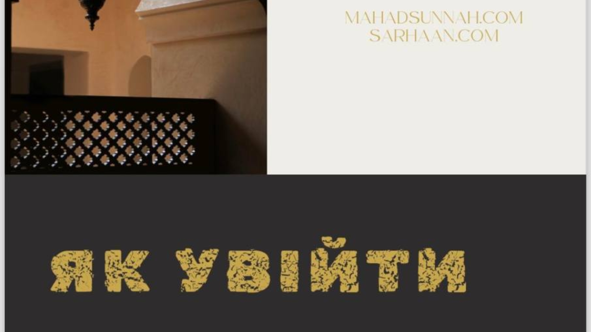 photo_2024-02-17_13-47-05