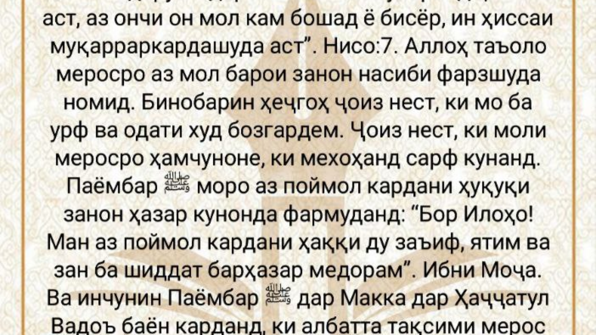 photo_2024-02-25_11-54-52