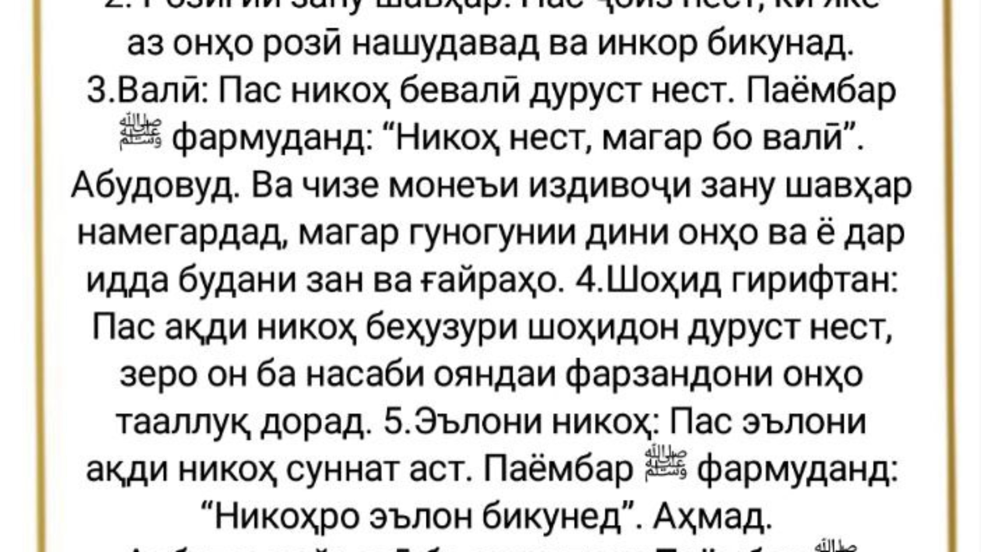 photo_2024-02-25_11-58-52