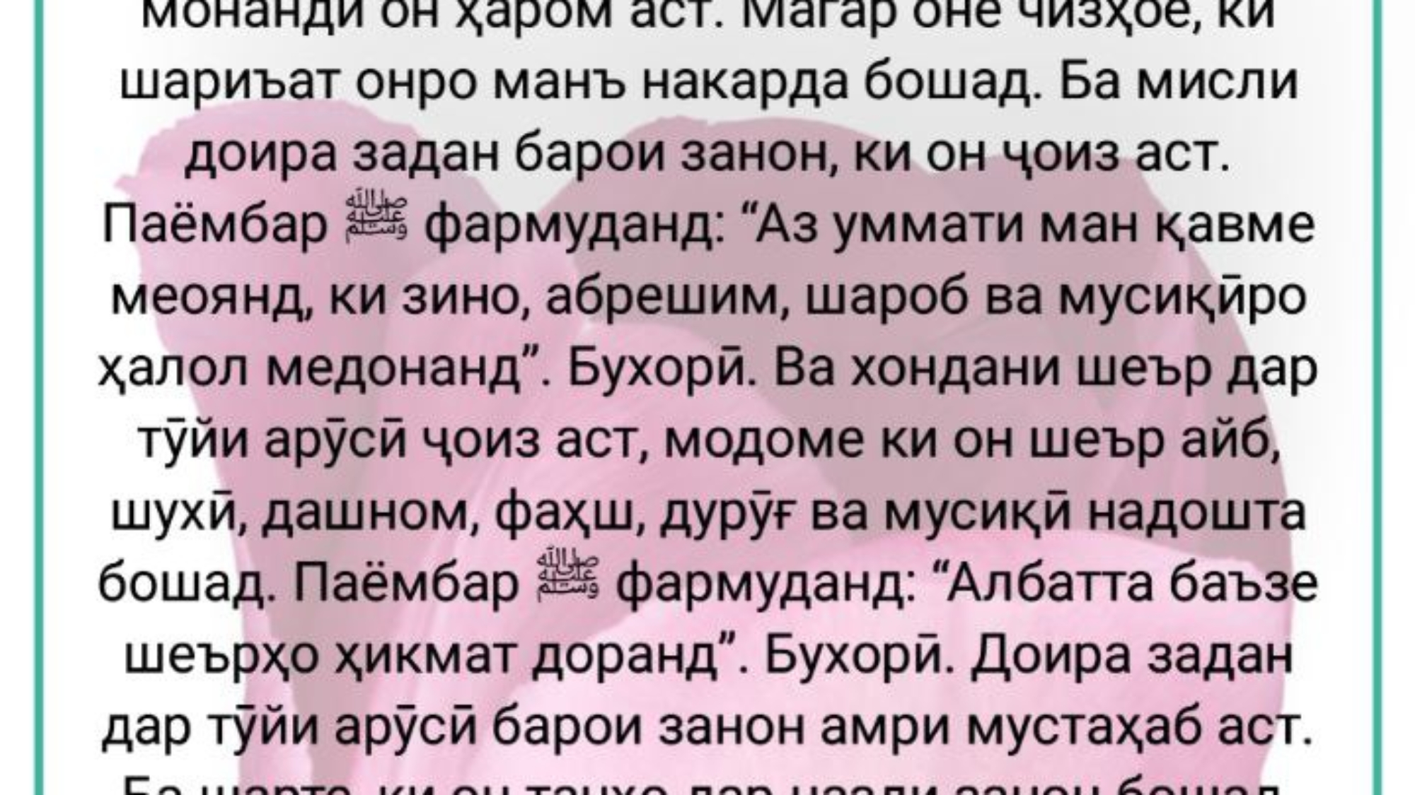 photo_2024-02-25_12-00-37