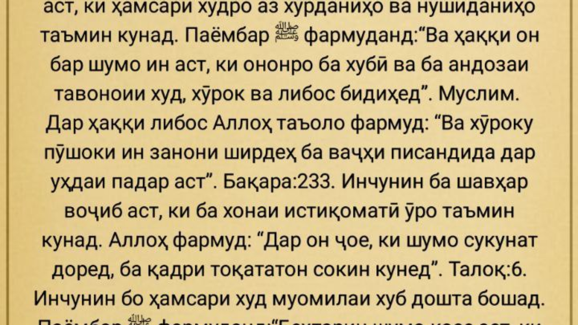 photo_2024-02-25_12-02-23