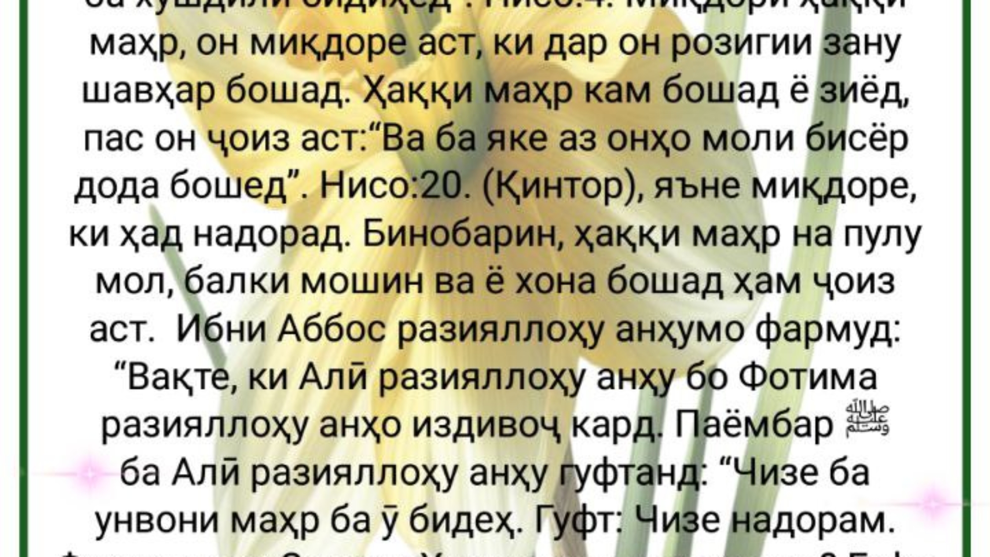 photo_2024-02-25_12-10-49