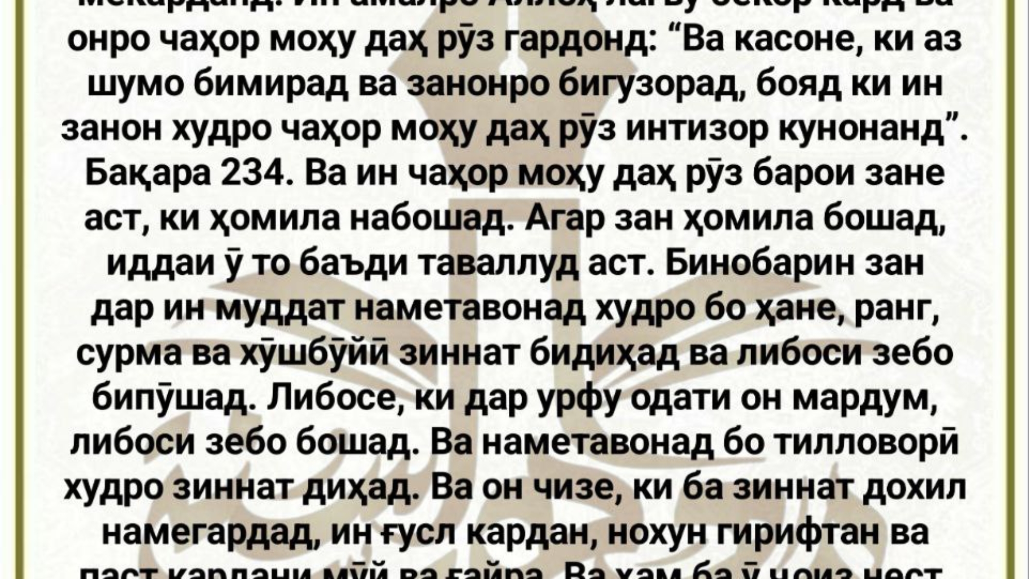 photo_2024-02-25_12-15-33