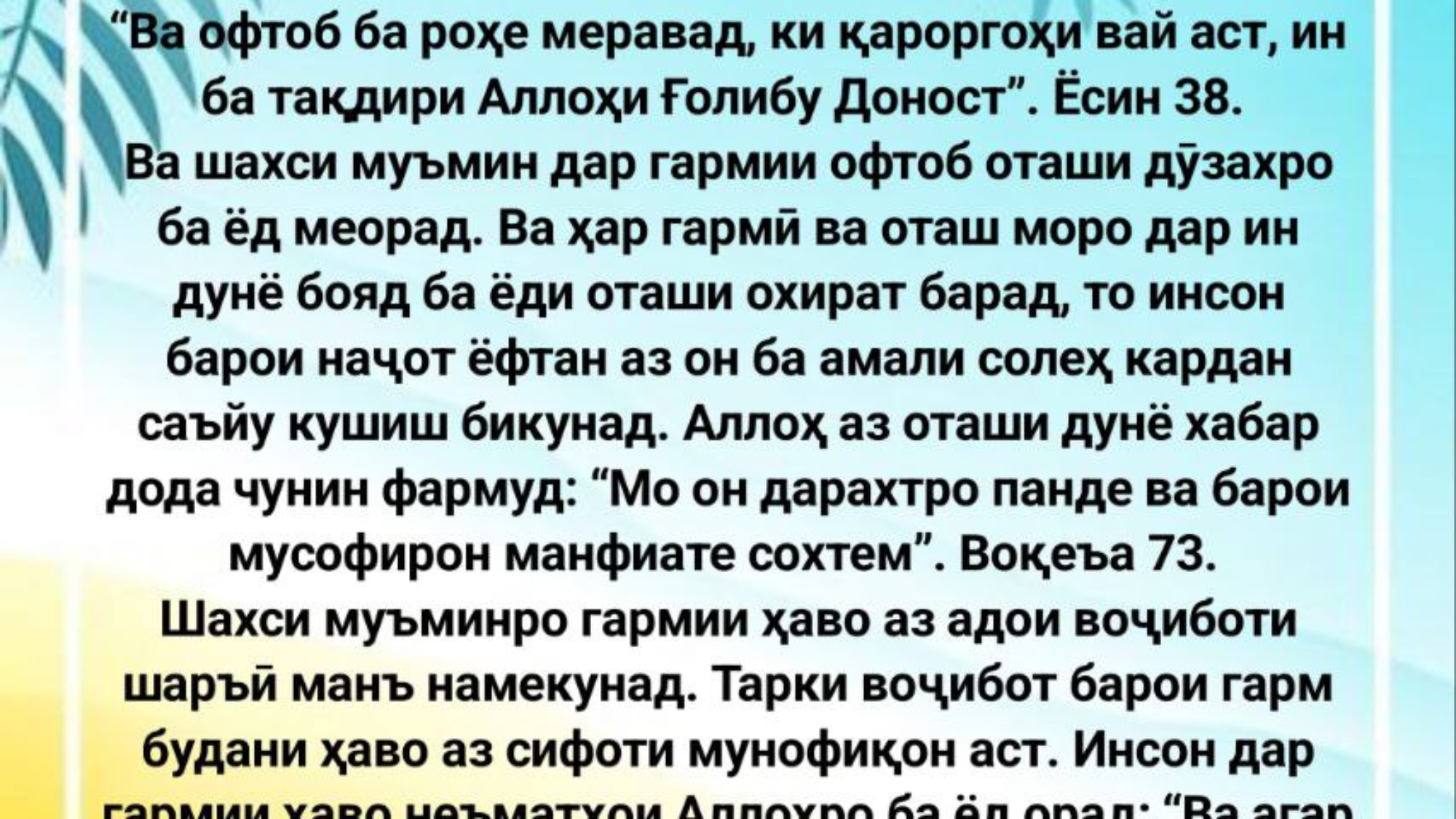 photo_2024-02-25_12-24-54