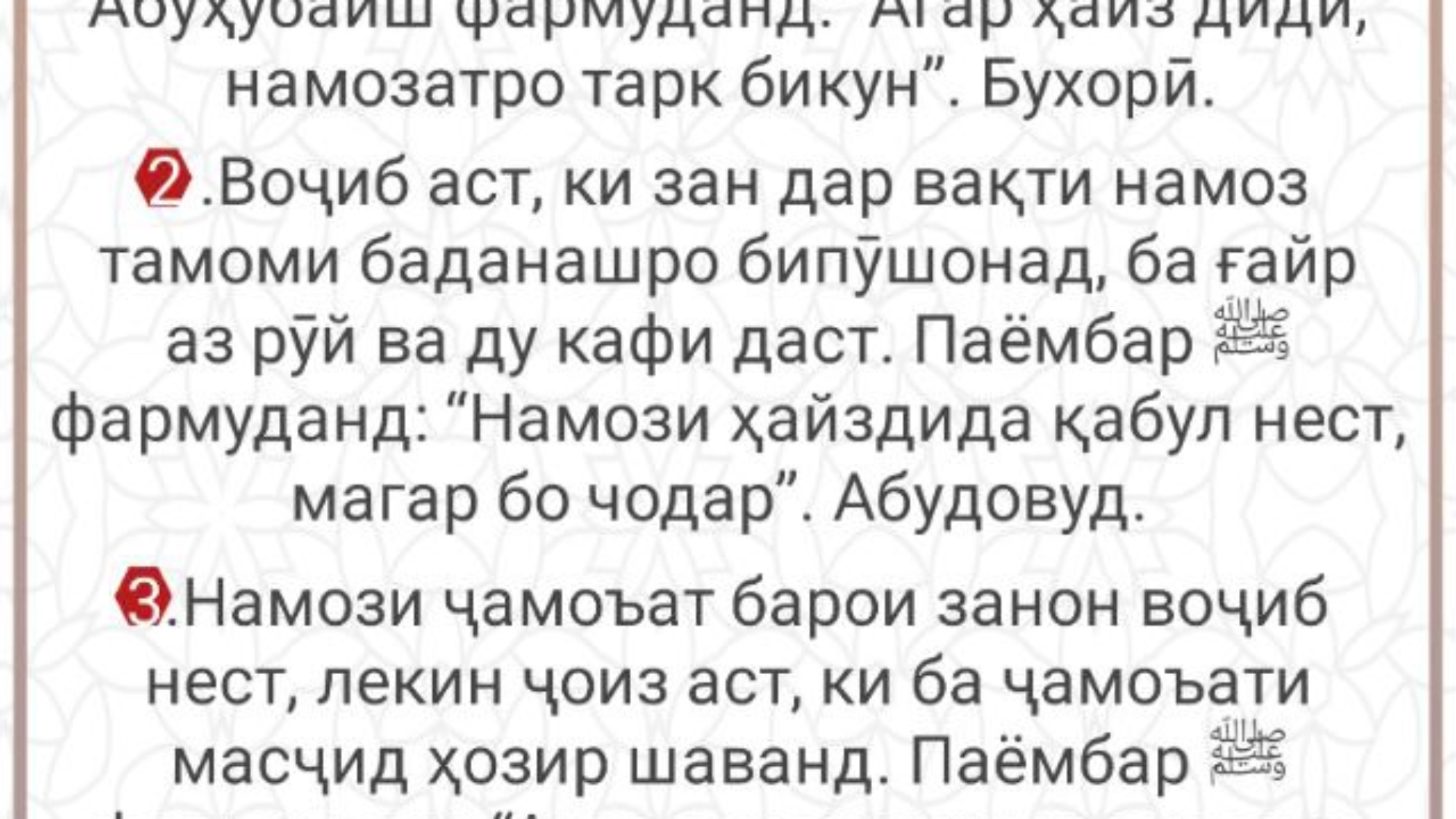 photo_2024-02-28_16-05-33