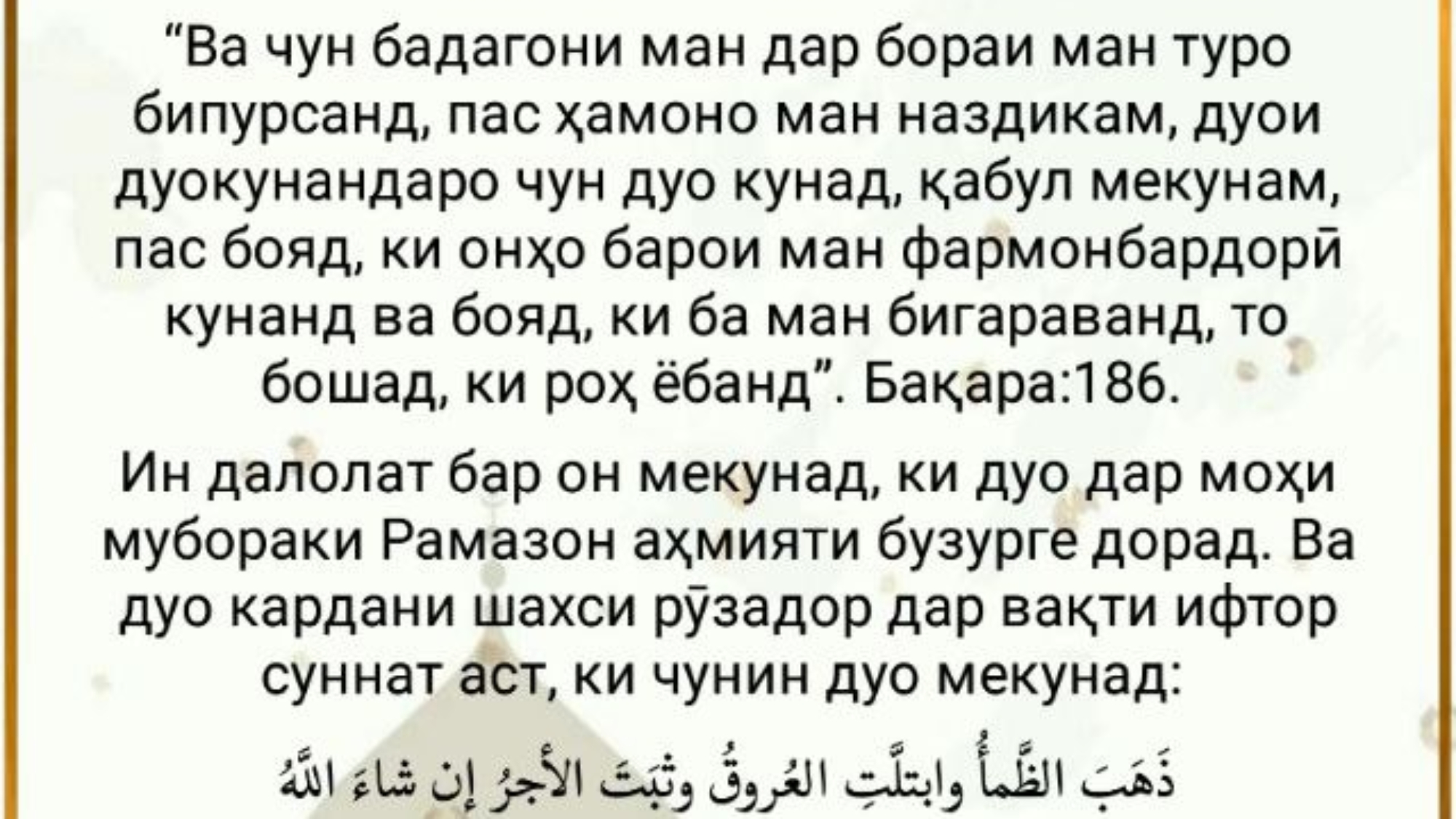 photo_2024-02-28_16-05-38