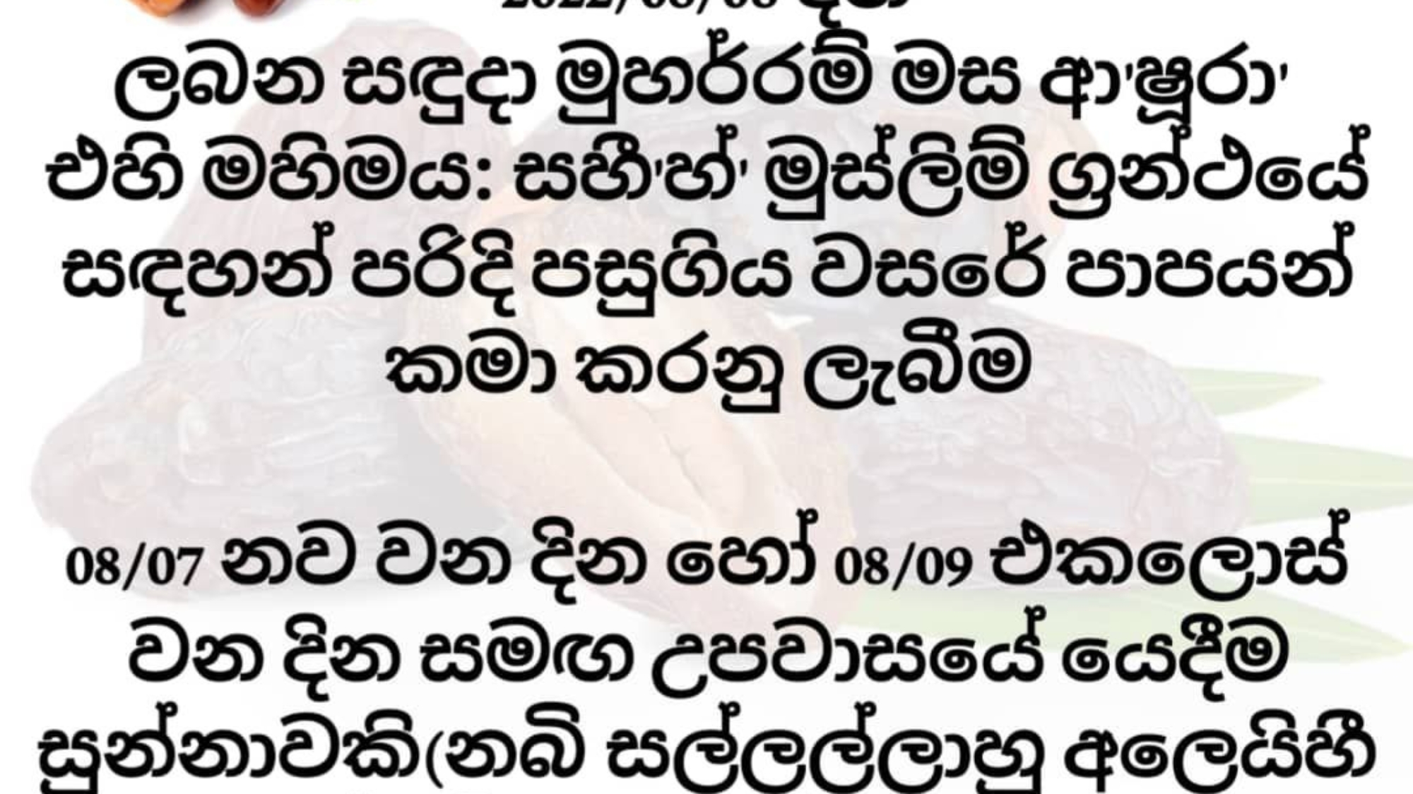 photo_2024-02-28_16-56-26