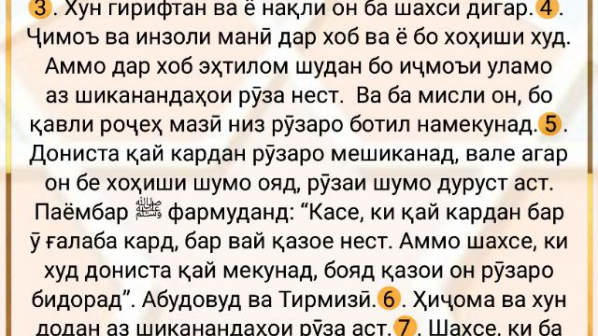 photo_2024-03-01_16-36-10