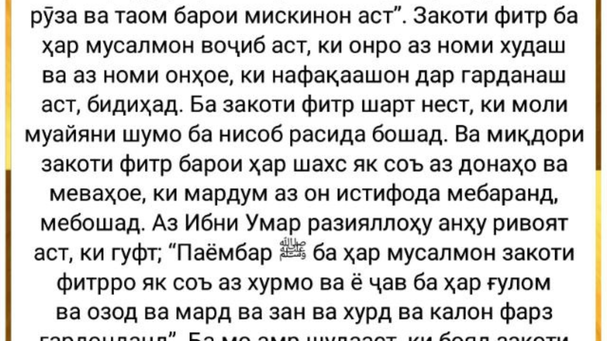 photo_2024-03-01_16-38-05