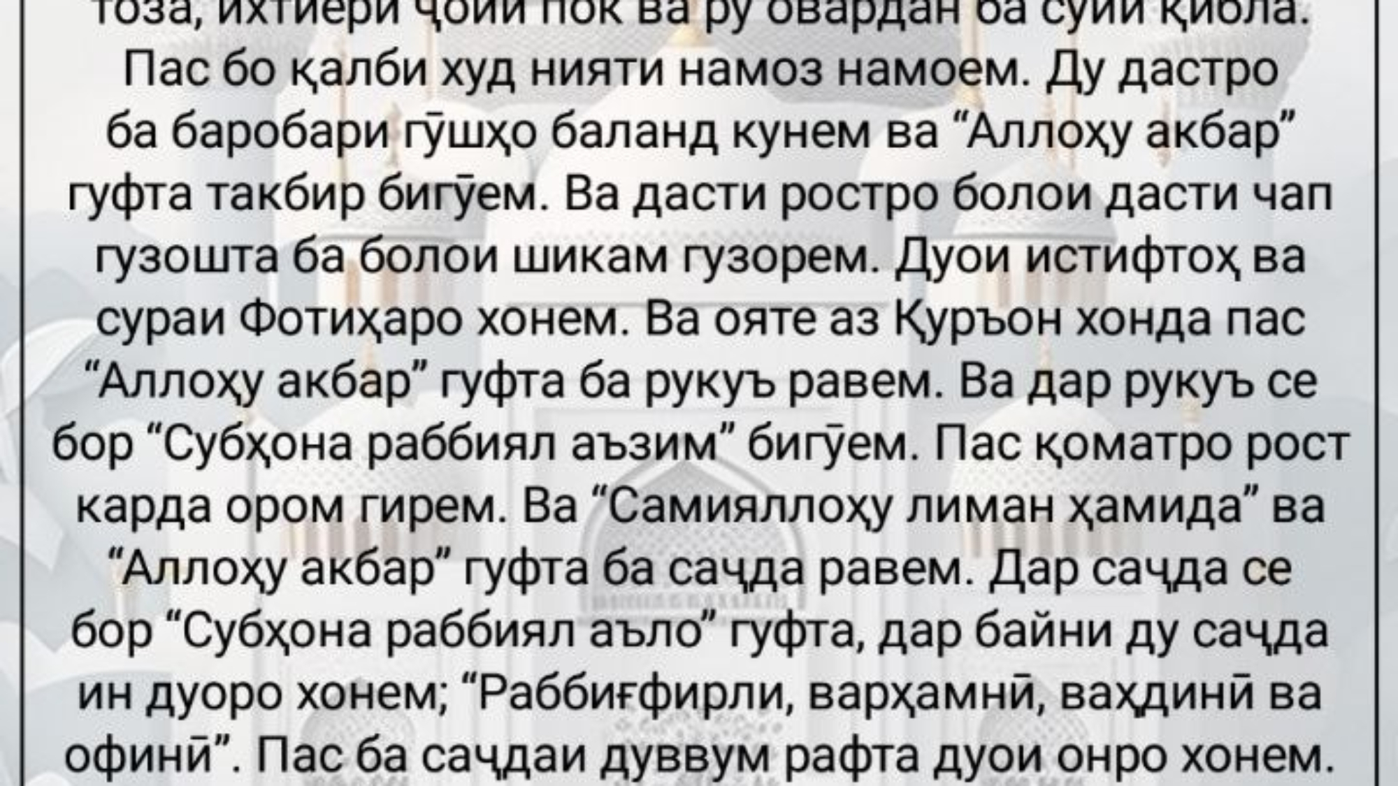 photo_2024-03-01_16-40-08