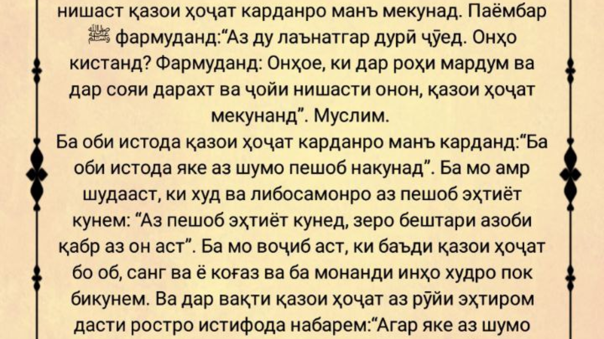 photo_2024-03-01_16-43-39