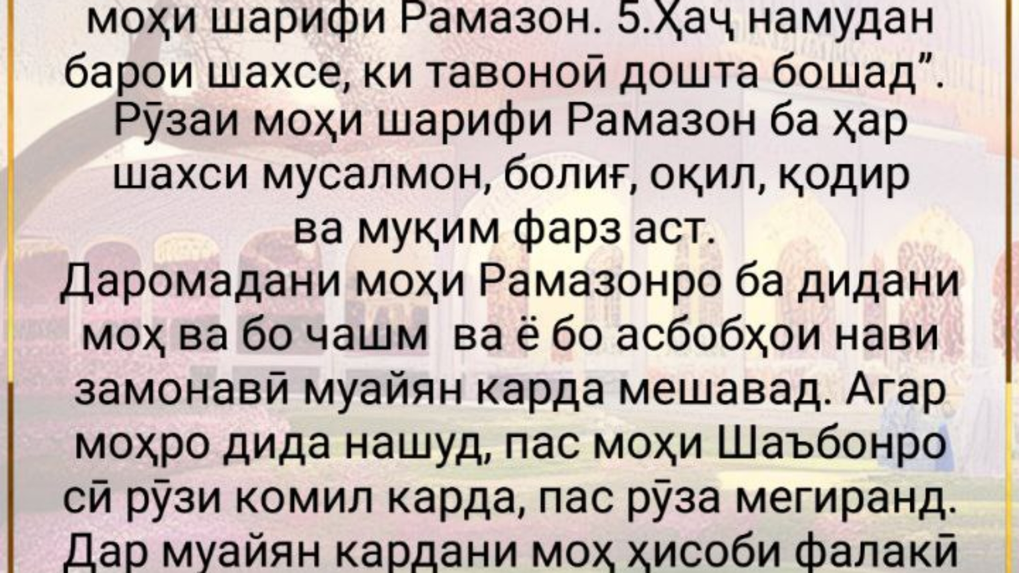 photo_2024-03-01_16-47-26