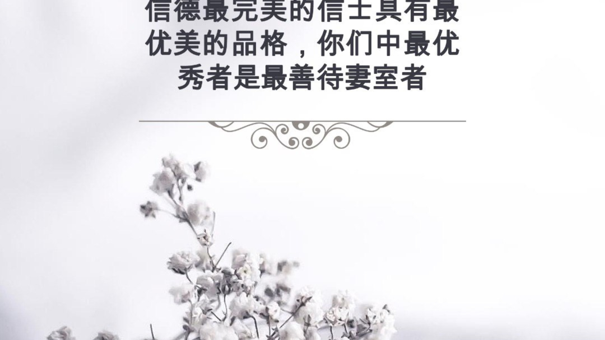 photo_2024-03-01_21-13-32