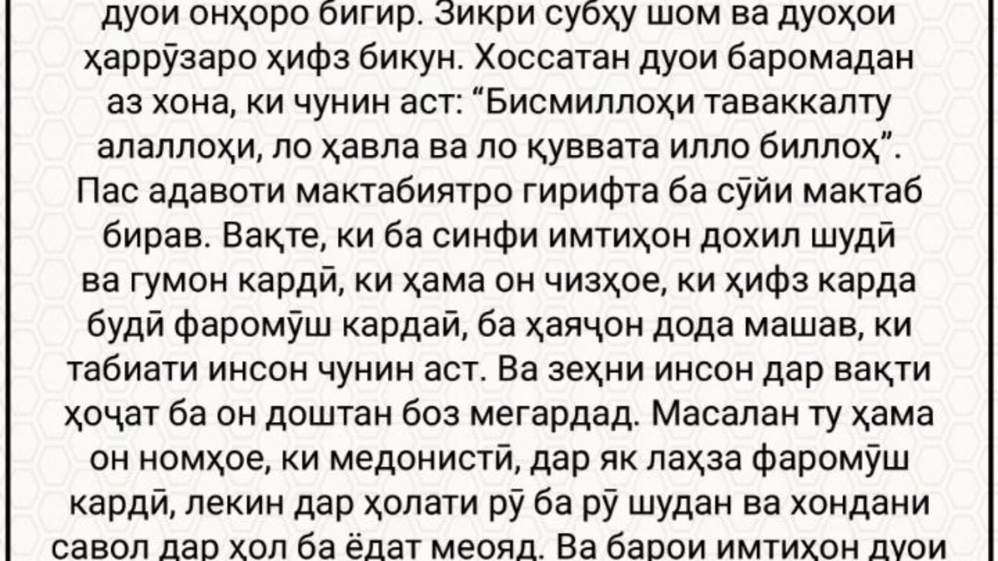 photo_2024-03-02_17-04-30