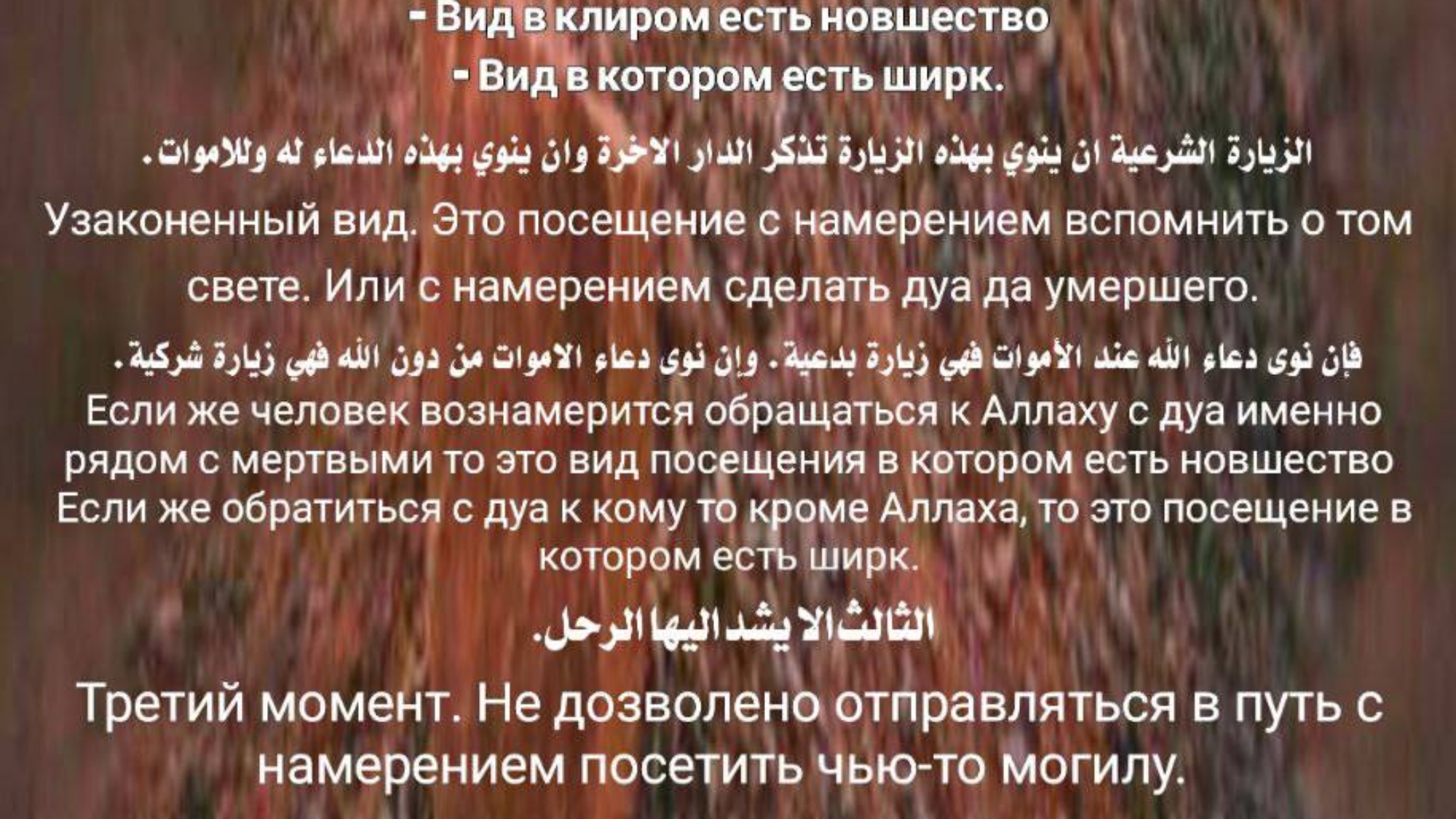 photo_2024-03-03_19-08-12