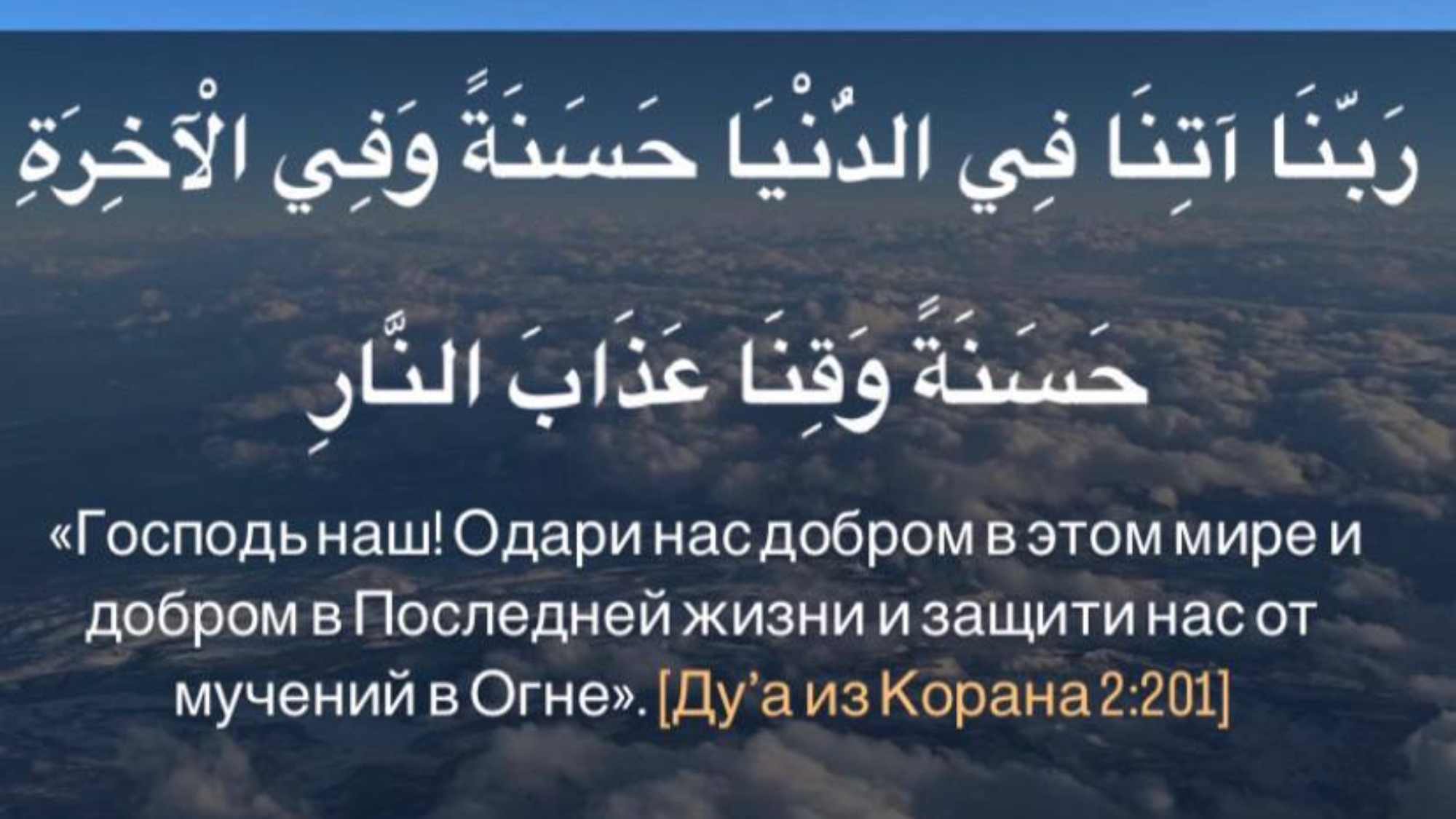 photo_2024-03-03_19-18-58