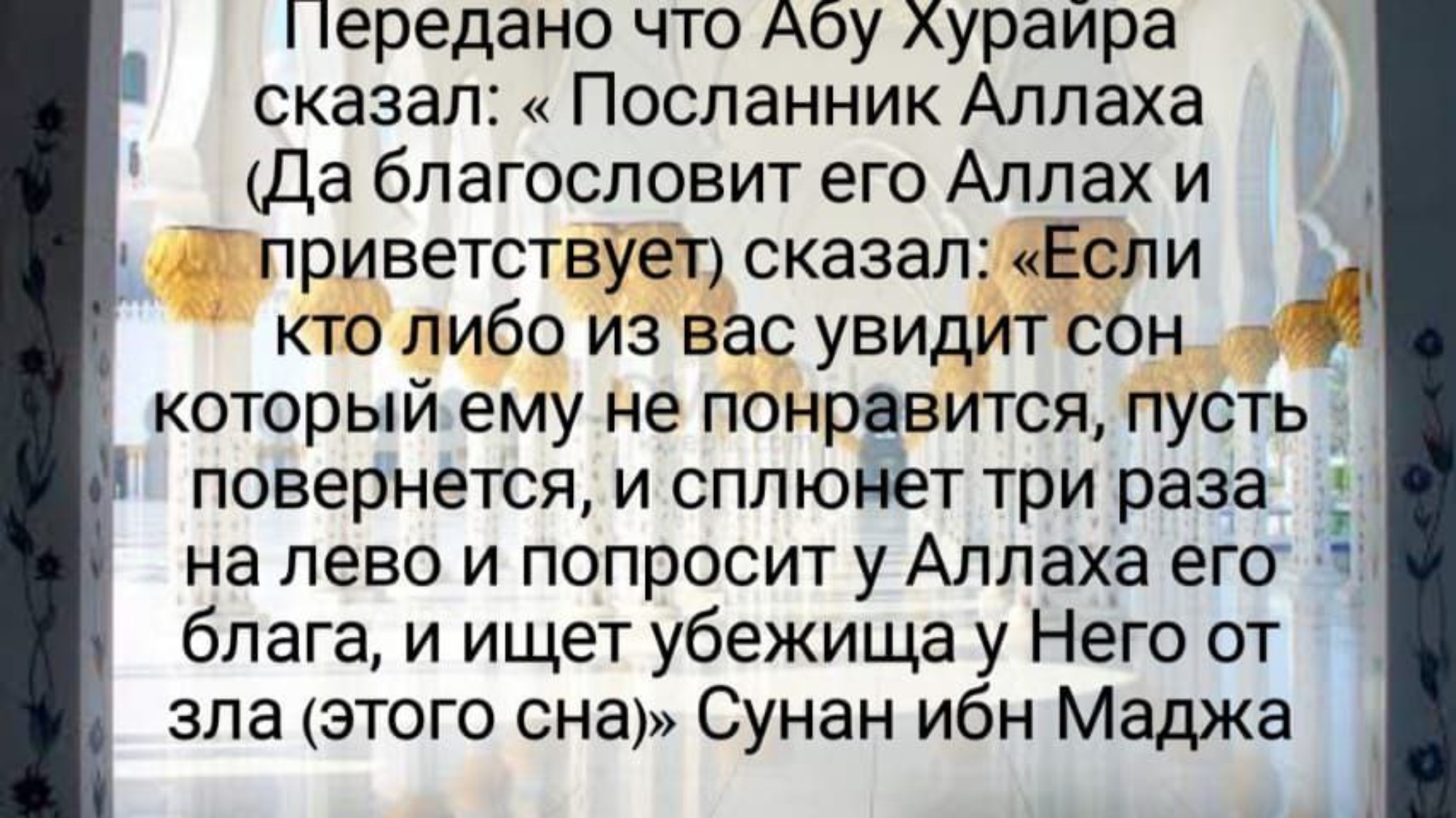 photo_2024-03-03_19-21-39