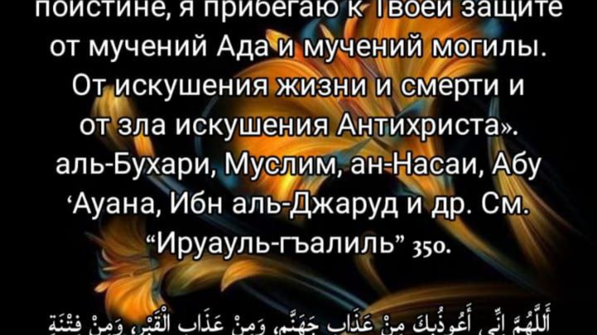 photo_2024-03-03_19-33-29