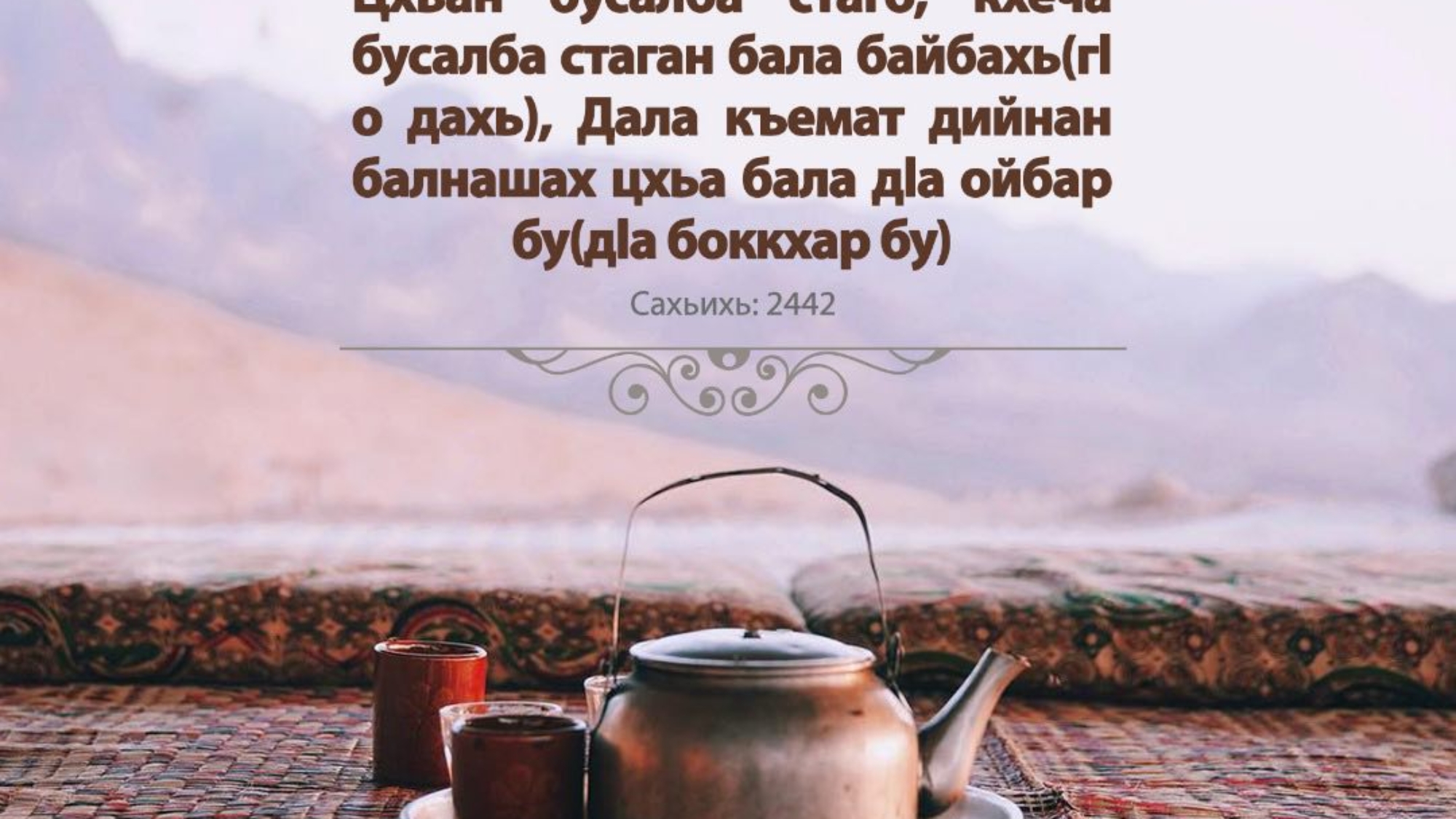 photo_2024-03-03_19-56-50