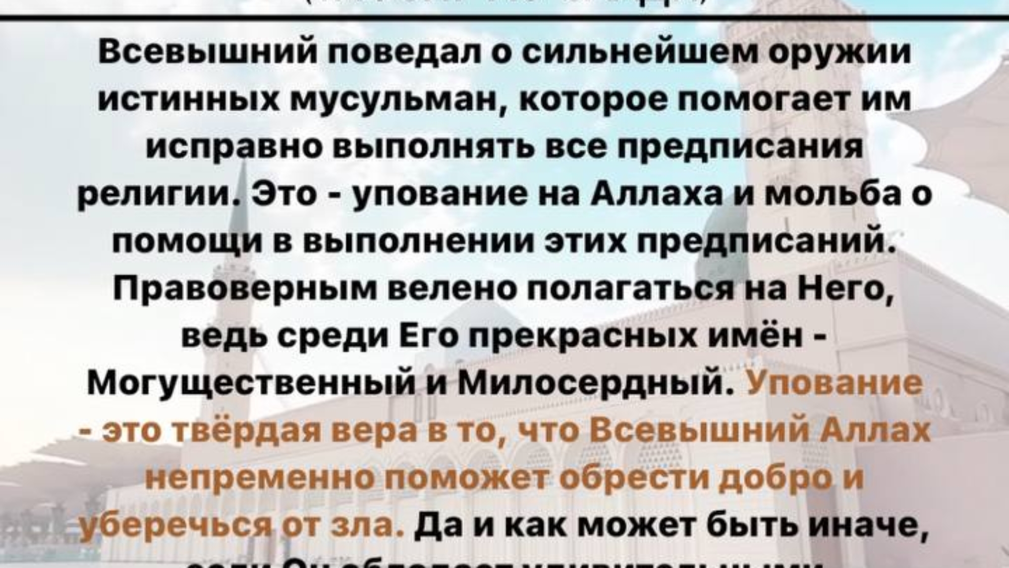 photo_2024-03-03_20-06-01